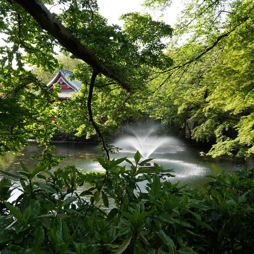 井の頭恩賜公園